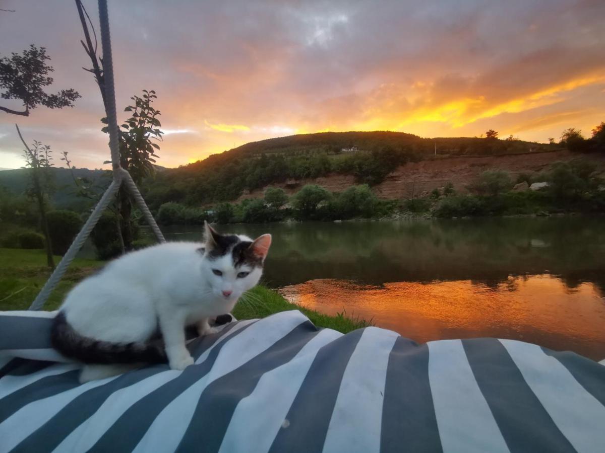 Bed and Breakfast Prenociste Na Drini Foca Exteriér fotografie