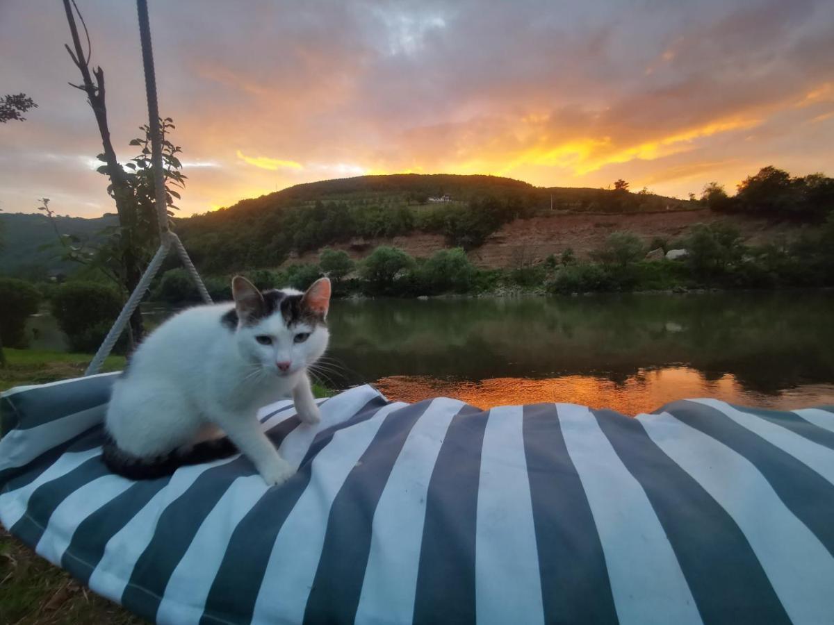 Bed and Breakfast Prenociste Na Drini Foca Exteriér fotografie